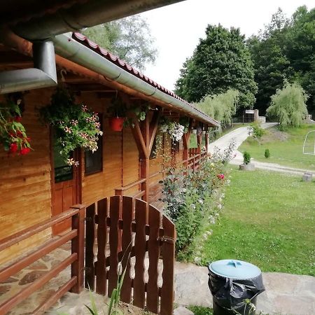 Pensiunea La Busu -Bigar Bozovici Dış mekan fotoğraf