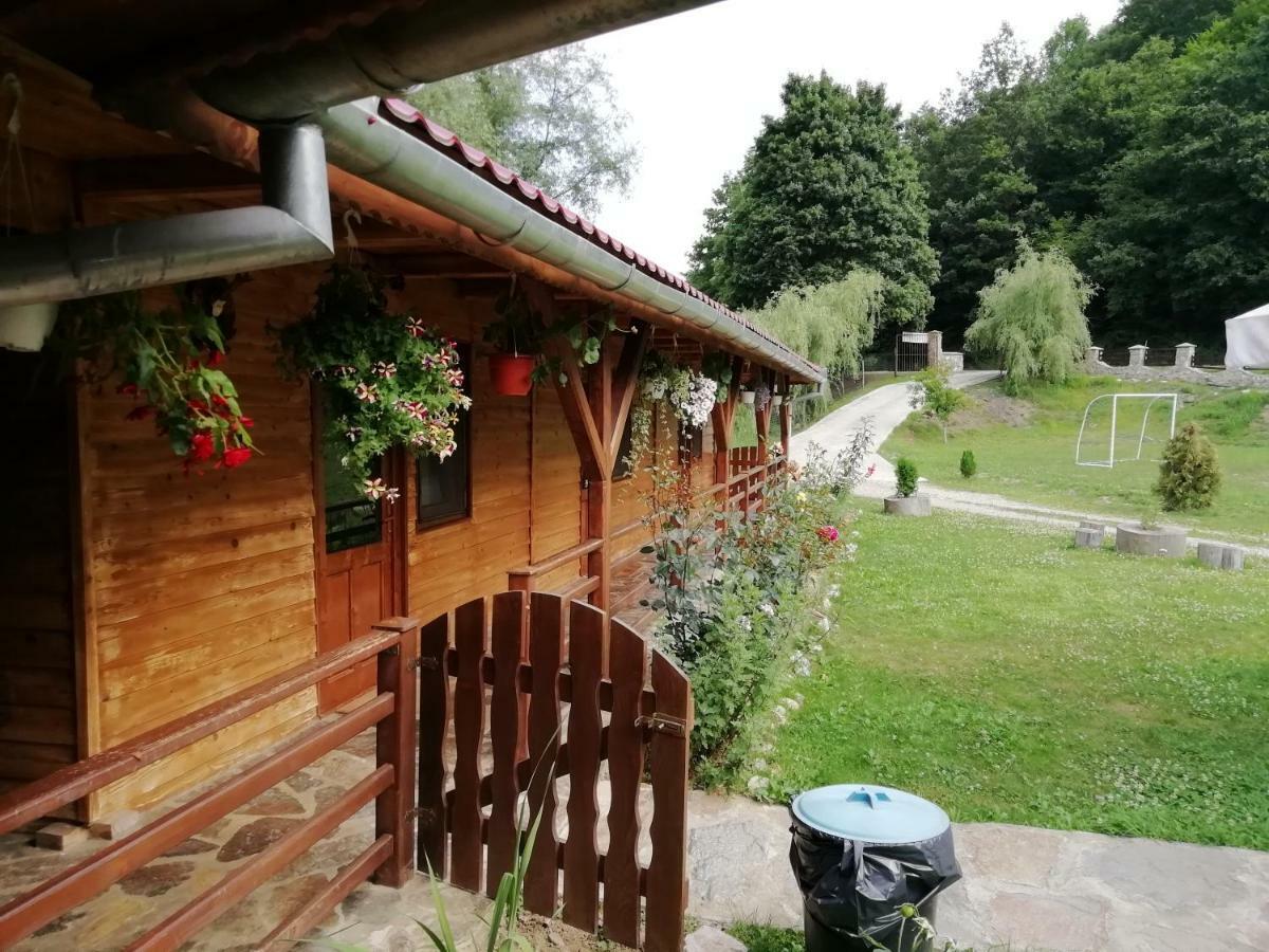 Pensiunea La Busu -Bigar Bozovici Dış mekan fotoğraf