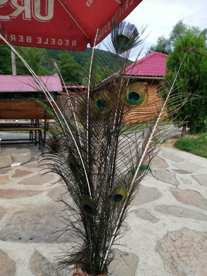 Pensiunea La Busu -Bigar Bozovici Dış mekan fotoğraf